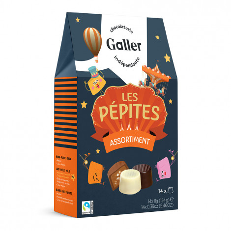 Suklaamakeislajitelma Galler ”Pépites”, 14 kpl.