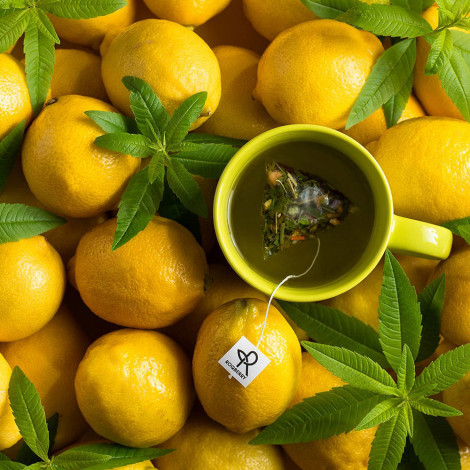 Fruit and herbal tea Roqberry “Lemon Verbena”, 12 pcs.