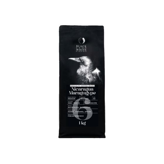 Spezialitätenkaffee Bohnen Black Crow White Pigeon Nicaragua Maragogype, 1 kg