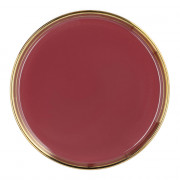 Plate Homla SINNES Purple Love, 15 cm
