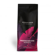 Spezialitätenkaffee Nicaragua Maragogype, 1 kg ganze Bohne