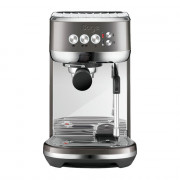Kaffemaskin Sage ”the Bambino™ Plus SES500SHY”