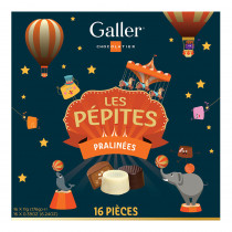 Šokolādes konfekšu komplekts Galler Les Pépites, 16 pcs.