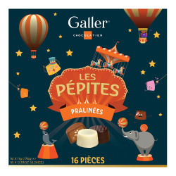 Šokolādes konfekšu komplekts Galler “Les Pépites”, 16 gab.