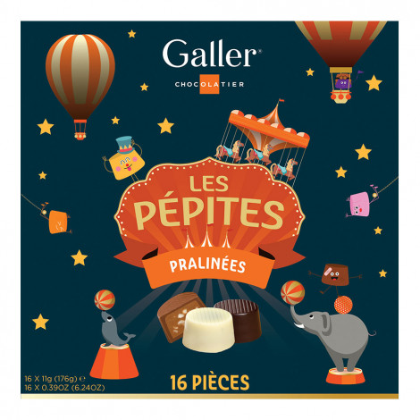 Chocolade snoep set Galler Les Pépites, 16 pcs.