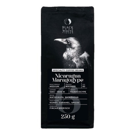 Grains de café de spécialité Black Crow White Pigeon Nicaragua Maragogype, 250 g