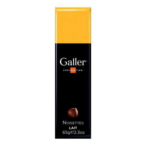 Chocolate bar Galler “Milk Hazelnuts”, 1 pc.