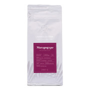 Kawa ziarnista Speciality Nikaragua Maragogype, 250 g