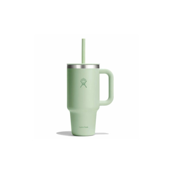 Hydro Flask All Around Aloe tumbler, 946 ml