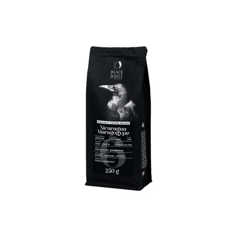 Spezialitätenkaffee Bohnen Black Crow White Pigeon Nicaragua Maragogype, 250 g